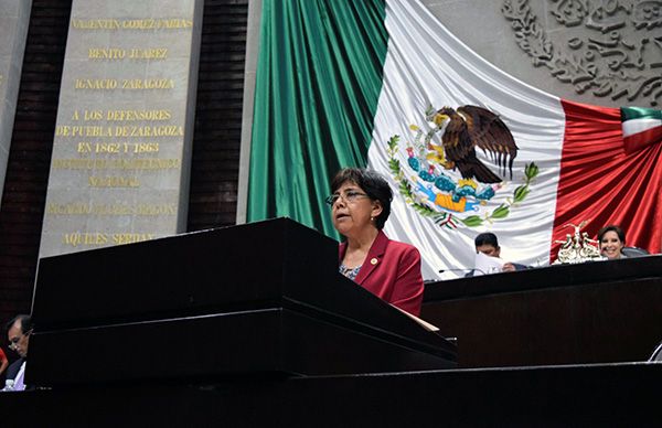Llevan luz a Santiago Alseseca