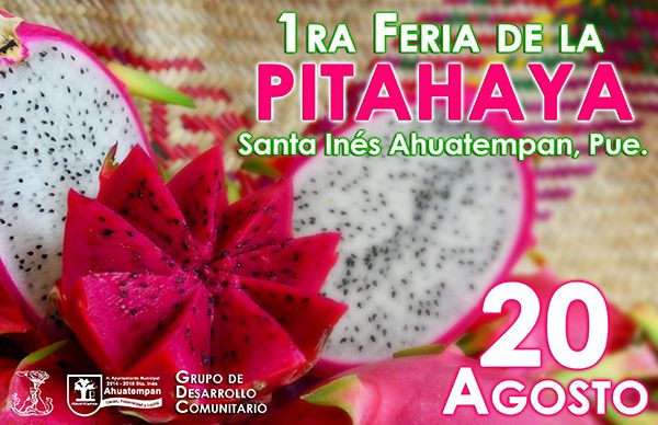  Invita Ahuatempan a primera feria de la Pitahaya