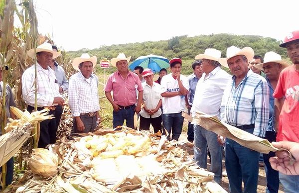 Agradecen campesinos a Antorcha en la mixteca