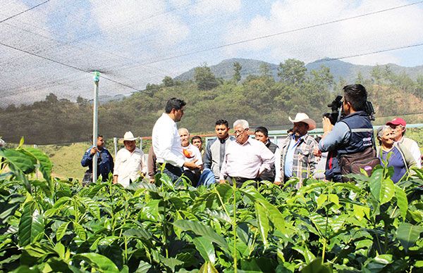  Apoyos por más de 7.2 mdp para campesinos de Huitzilan 