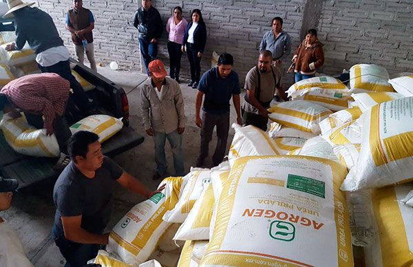 Alcaldesa de Tepexi apoya a más de mil campesinos con fertilizante 