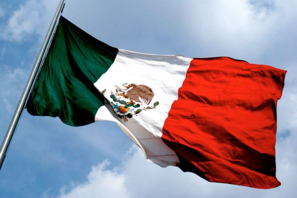  El Estado mexicano, ¿una estatua de hierro?