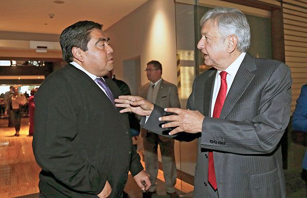 El insulto a la razón 