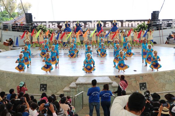 Bailes de India 