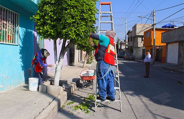 Avanza jornada de limpieza en artesanos y carpinteros