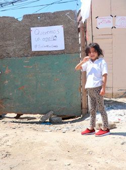 ¡Pañuelos blancos!