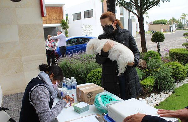 Realizan campaña de vacunación antirrábica en Ocoyucan