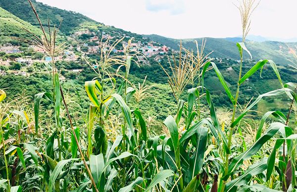 No llega el apoyo para el campo