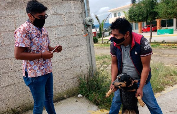 Jornada de vacunación antirrábica en Texmelucan