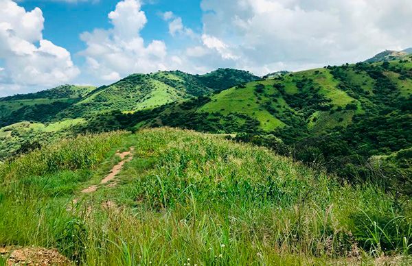 Sin apoyo al campo en Ixcamilpa