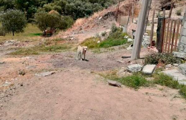 Denuncian indiferencia de Claudia Rivera por demandas de obras y servicios