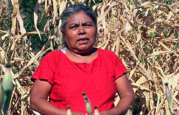 La Mixteca Poblana pide vacunas contra covid-19 