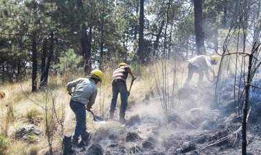 Realizan trabajos para prevención de incendios forestales en Ixtapaluca