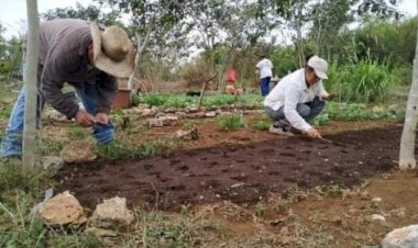 Ante nulo apoyo, autoconsumo no es opción para campesinos yucatecos