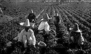 Estructura agraria y desarrollo económico