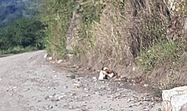 Urgen pobladores mantenimiento a caminos de Tamazunchale