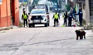 Seguridad pública de Huitzilan, cercana al pueblo