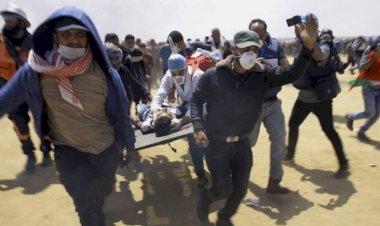 Genocidio nazi, genocidio israelí