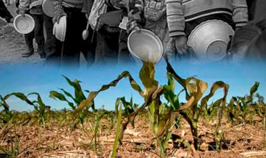 Soberanía alimentaria, otra promesa incumplida