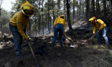 Se duplican incendios forestales en Durango