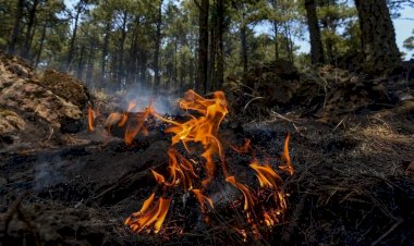 Se duplican incendios forestales en Durango