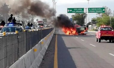 REPORTAJE | Guanajuato, entre la violencia y las desapariciones