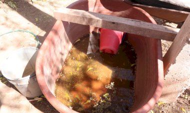 REPORTAJE | ¿Cómo es vivir sin agua? La realidad al norte de Sinaloa