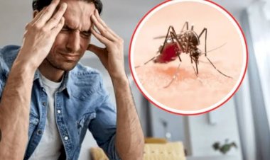 Tabasco, 1er lugar nacional en incidencia de dengue