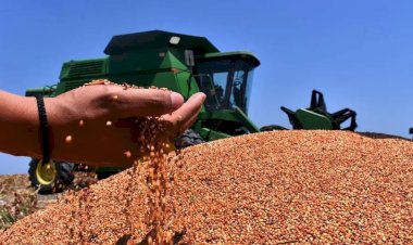 Sequía desata la peor crisis en el campo Tamaulipas