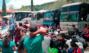 REPORTAJE | Abandono de la 4T expulsa a indígenas de Guerrero