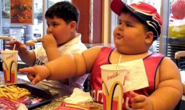 Comida chatarra: 15 años de prohibición y obesidad aún aumenta
