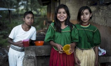 Nuestra enferma economía requiere una solución de raíz