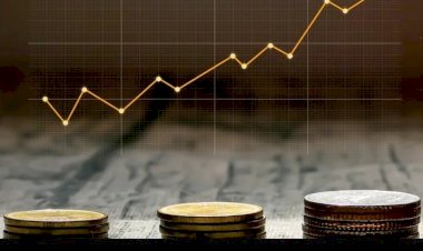 Declina la ganancia, el sistema en apuros, la soga se aprieta