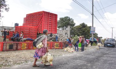 Desigualdad y pobreza regional: caso Puebla