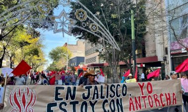 Organización y lucha social