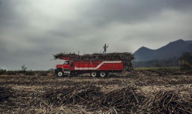 Chiapas: Un campo en el abandono