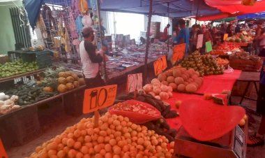 En Jalisco, la informalidad está ganando terreno: Antorcha