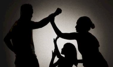Guanajuato ocupa lugar 4 a nivel nacional en violencia familiar