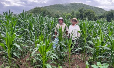 REPORTAJE | Del trabajo nace la felicidad