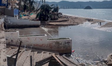 REPORTAJE | Devastación ambiental deja grave secuela de “Otis” en Acapulco