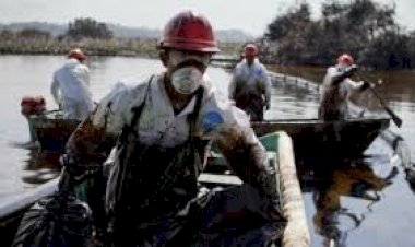 Crisis ecológica consecuencia del capitalismo decadente