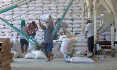 El precio de garantía, vieja estrategia que no resuelve el problema del campo