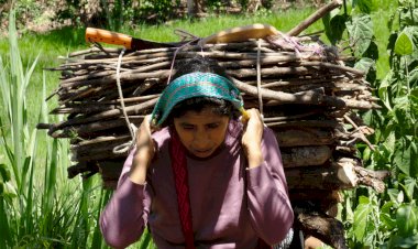 Los problemas del campo chiapaneco