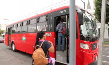 Las decisiones del transporte público en Guadalajara