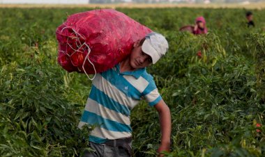 Menos empleos y mayor explotación laboral