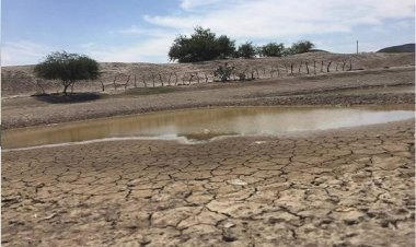 La sequía recorre el sur de Nuevo León