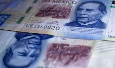 ¿La planificación de la educación es un error?