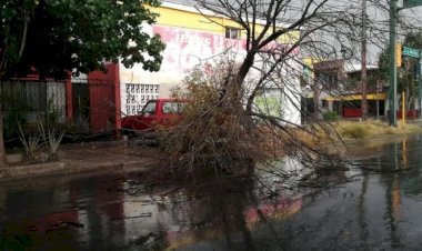 CRÓNICA | Torreón, bajo el agua: entre la tormenta y el abandono