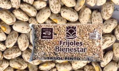 Pobreza en Durango exhibe fallas de política social de 4T